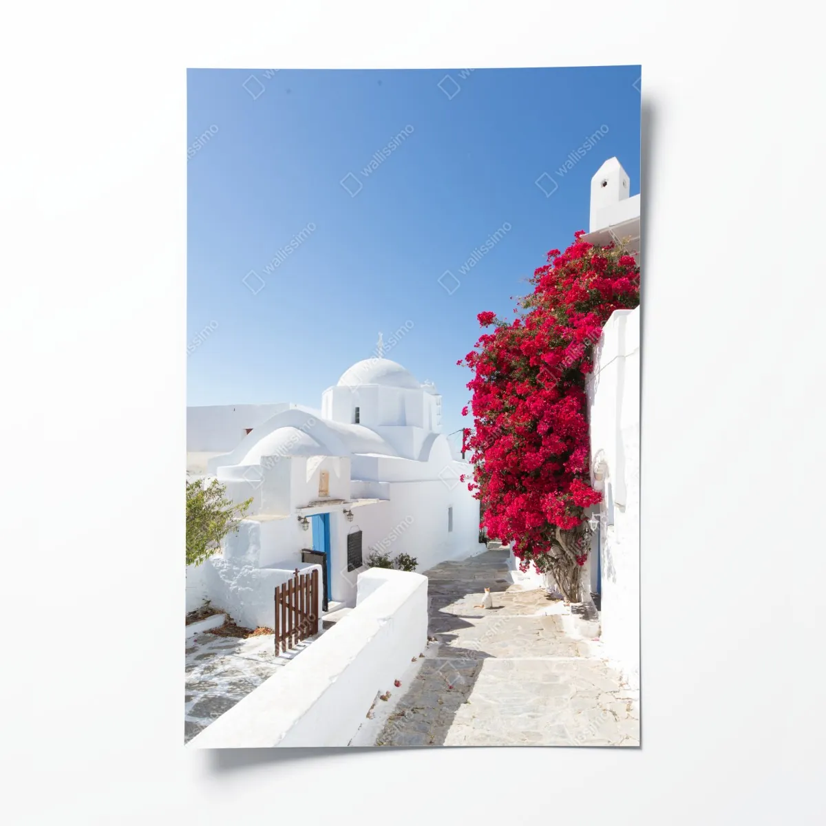 Plakat słoneczna ulica wyspy z bujną bugenwillą – Wallissimo® Plakat słoneczna ulica wyspy z bujną bugenwillą – Wallissimo®