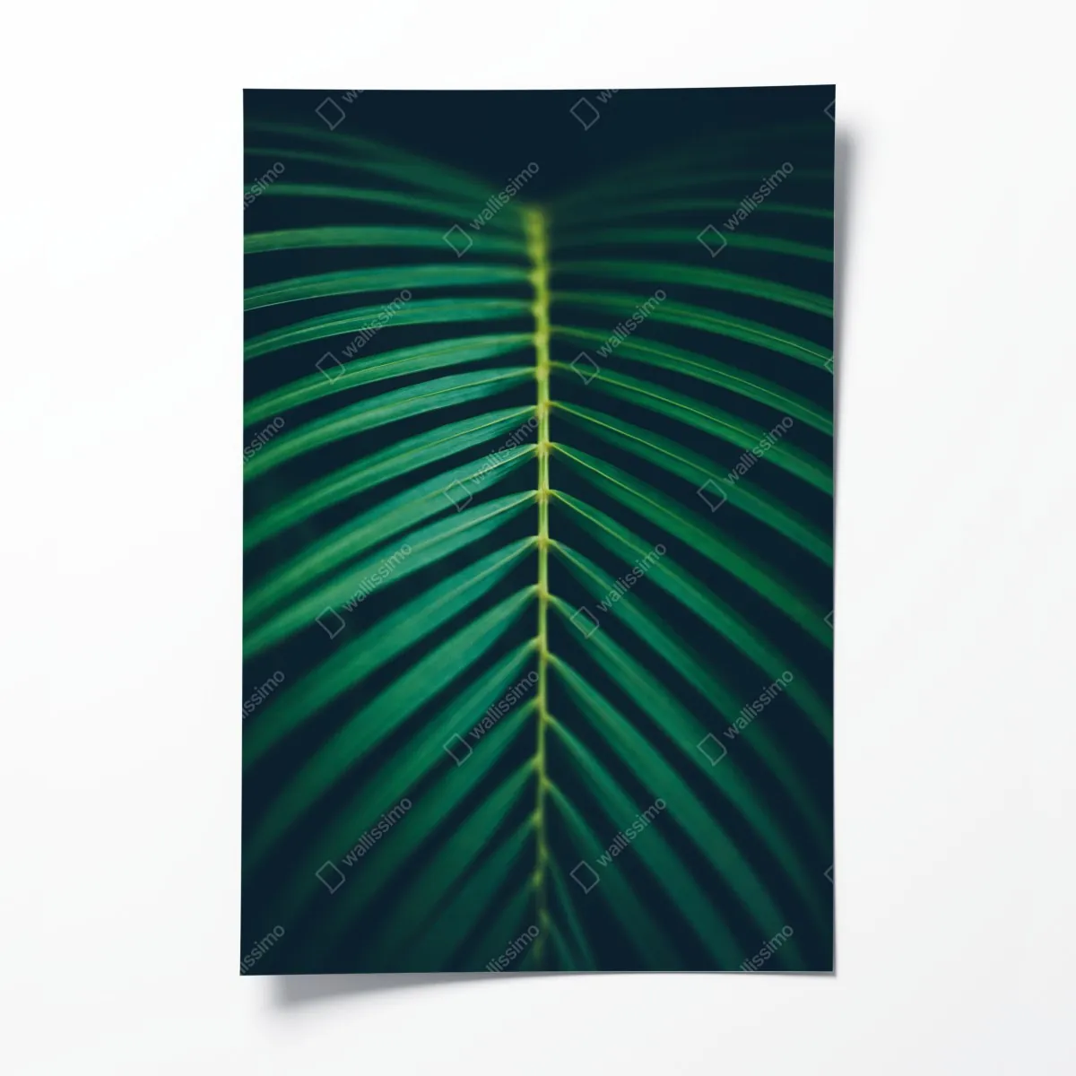 Plakat pionowy liść palmy z bliska – Wallissimo® Plakat pionowy liść palmy z bliska – Wallissimo®