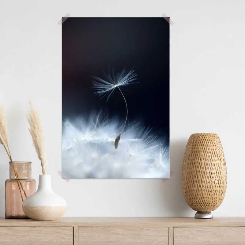 Plakat delikatne zbliżenie nasiona dmuchawca – Wallissimo® Plakat delikatne zbliżenie nasiona dmuchawca – Wallissimo®