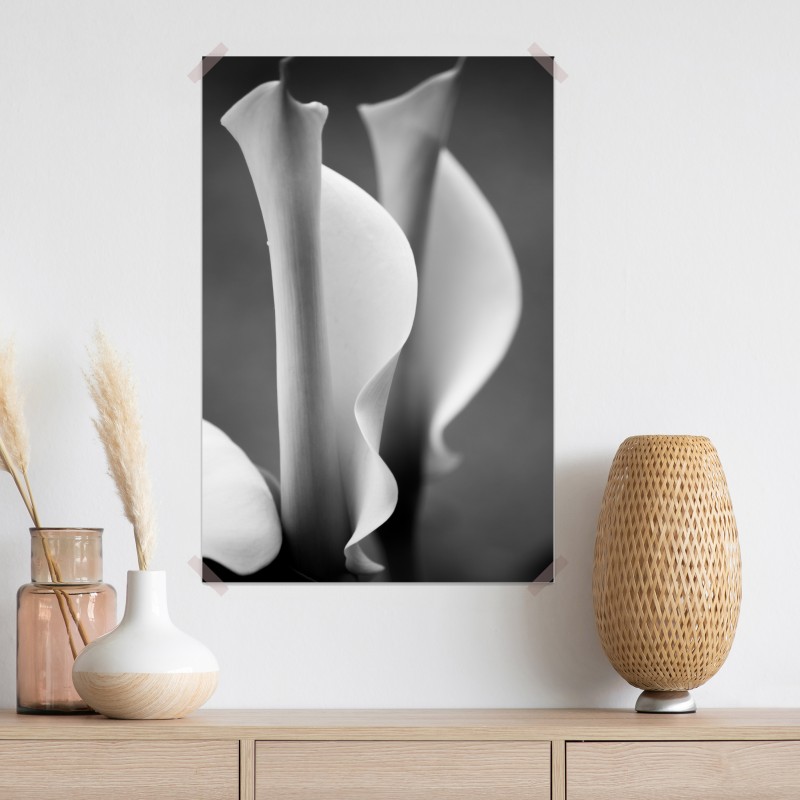 Plakat eleganckie kallie w monochromie – Wallissimo® Plakat eleganckie kallie w monochromie – Wallissimo®