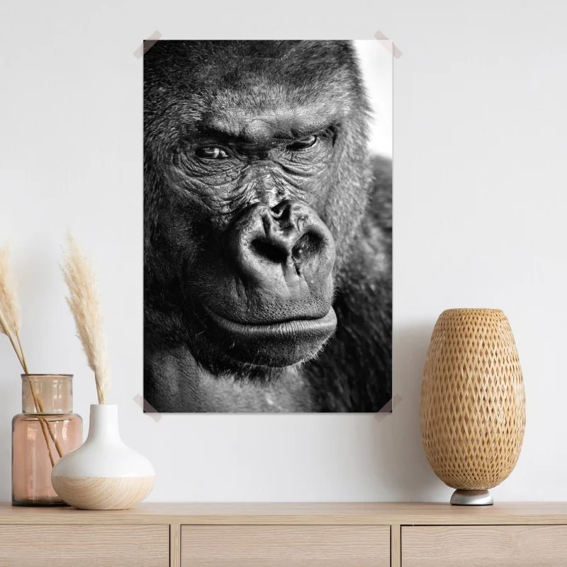Plakat intensywny portret goryla w czerni i bieli – Wallissimo® Plakat intensywny portret goryla w czerni i bieli – Wallissimo®