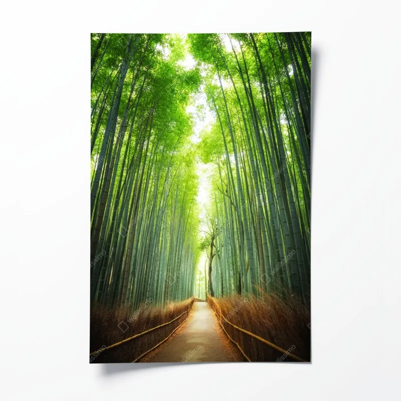 Plakat ścieżka przez gaj bambusowy w Arashiyama
