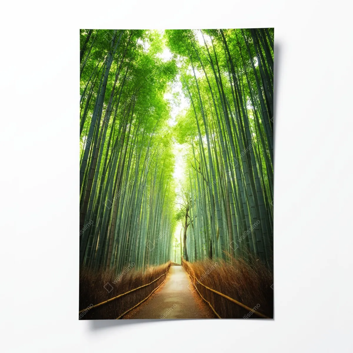 Plakat ścieżka przez gaj bambusowy w Arashiyama – Wallissimo® Plakat ścieżka przez gaj bambusowy w Arashiyama – Wallissimo®