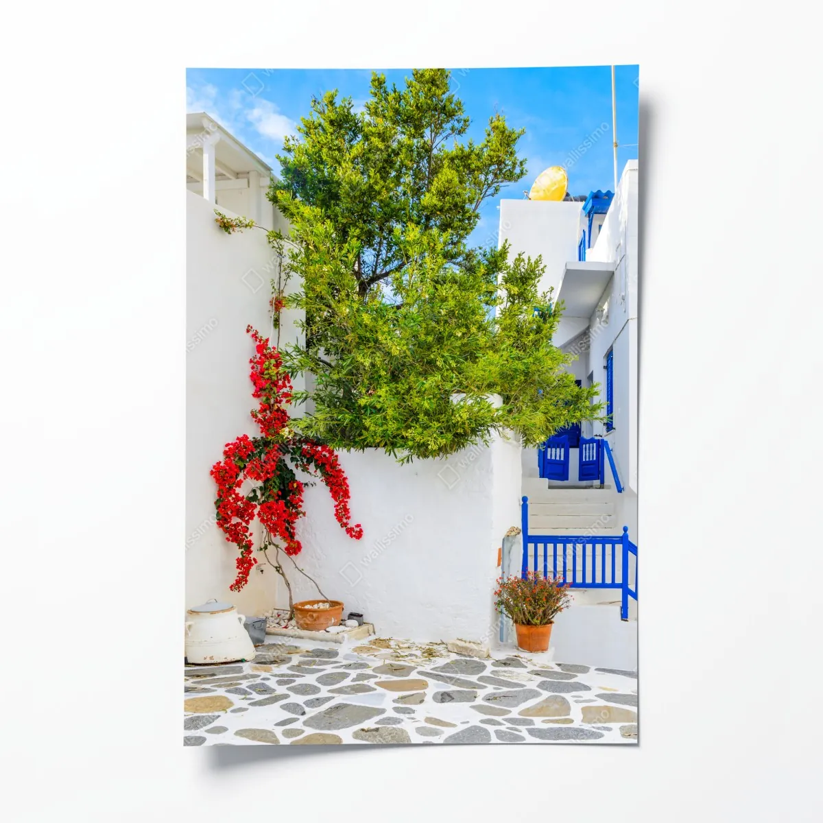 Plakat słoneczny dziedziniec śródziemnomorski z bugenwillą – Wallissimo® Plakat słoneczny dziedziniec śródziemnomorski z bugenwillą – Wallissimo®