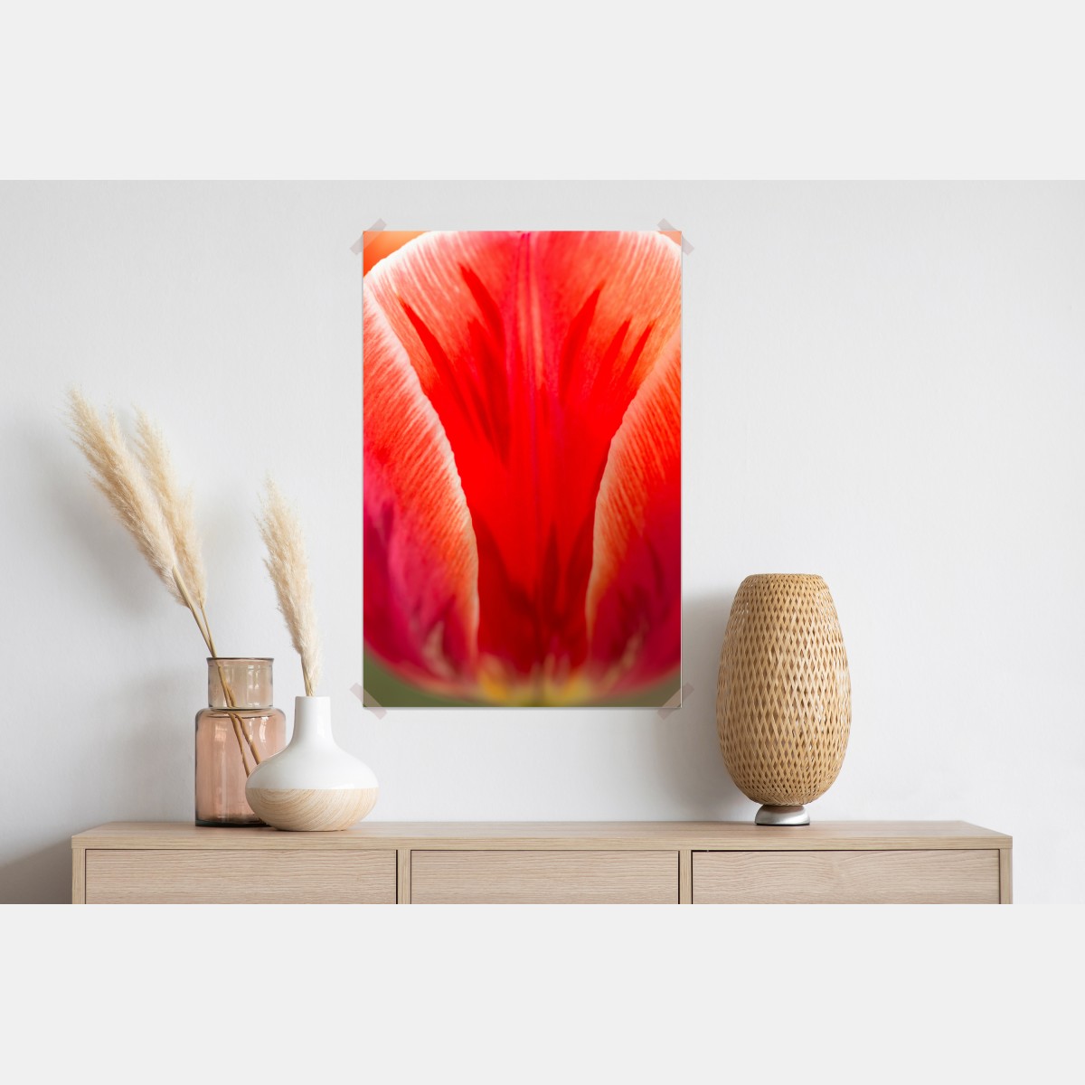 Plakat intensywny czerwony tulipan zbliżenie – Wallissimo® Plakat intensywny czerwony tulipan zbliżenie – Wallissimo®