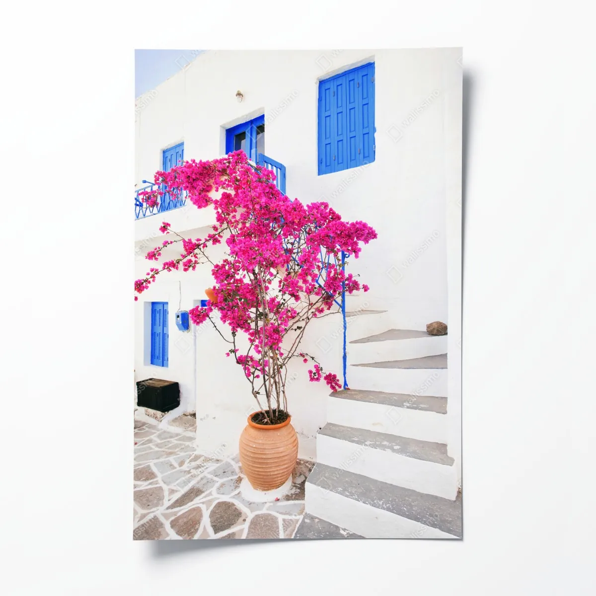 Plakat różowa bugenwilla na białym domu na greckiej wyspie – Wallissimo® Plakat różowa bugenwilla na białym domu na greckiej wyspie – Wallissimo®