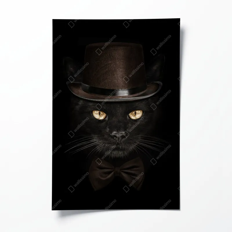 Plakat elegancki czarny kot w cylindrze i muszce