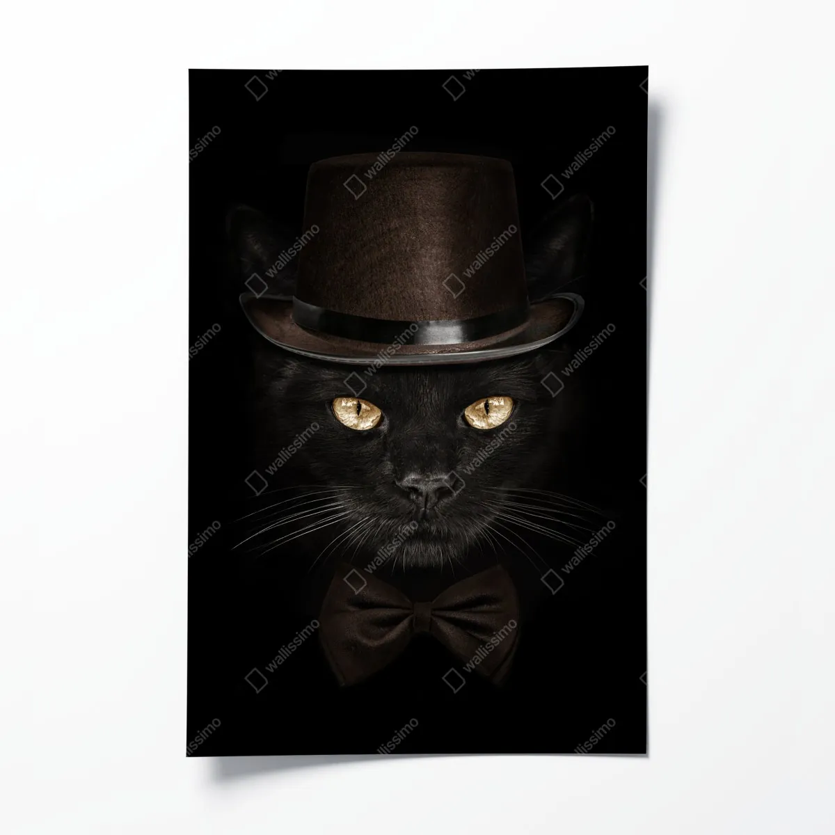 Plakat elegancki czarny kot w cylindrze i muszce – Wallissimo® Plakat elegancki czarny kot w cylindrze i muszce – Wallissimo®