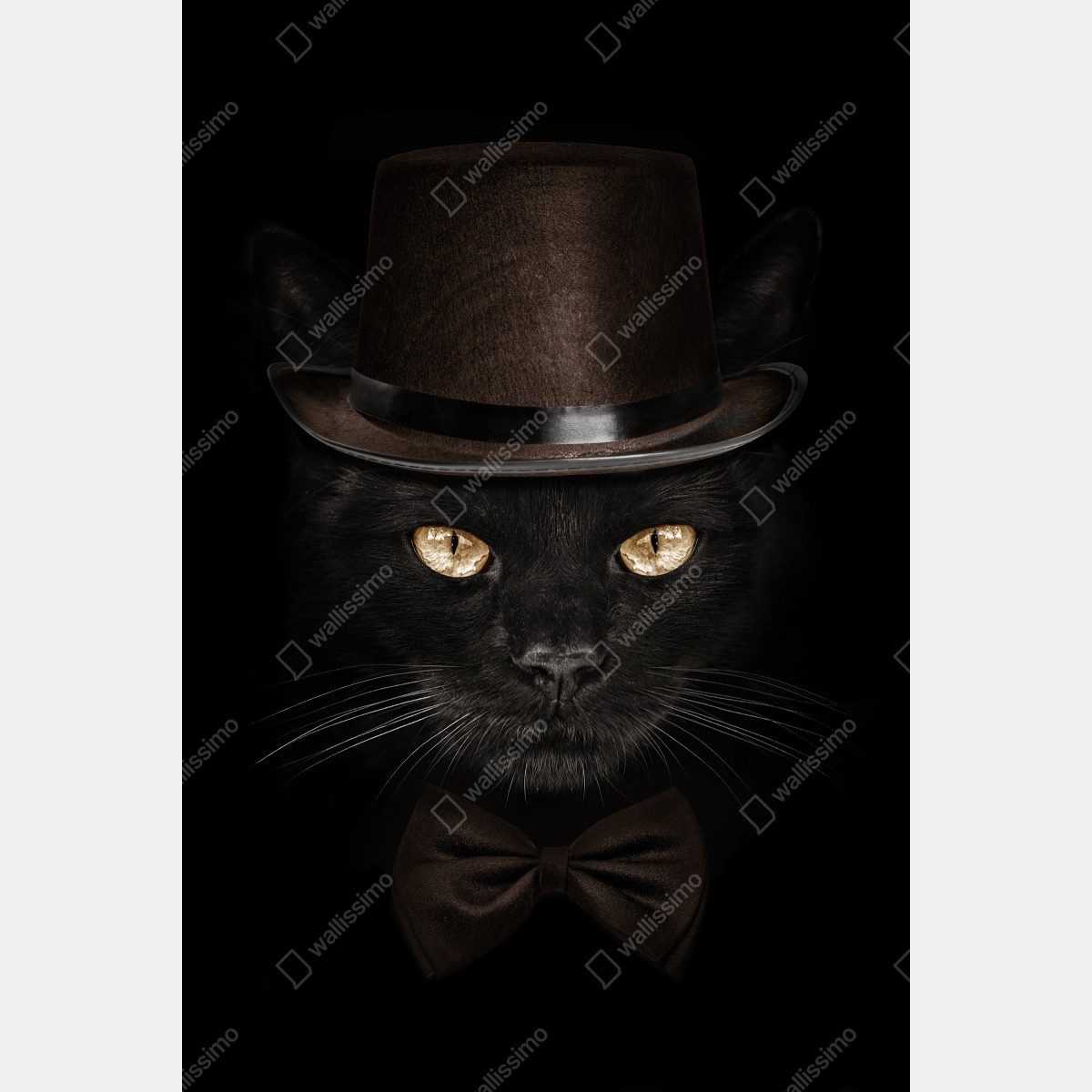 Plakat elegancki czarny kot w cylindrze i muszce – Wallissimo® Plakat elegancki czarny kot w cylindrze i muszce – Wallissimo®