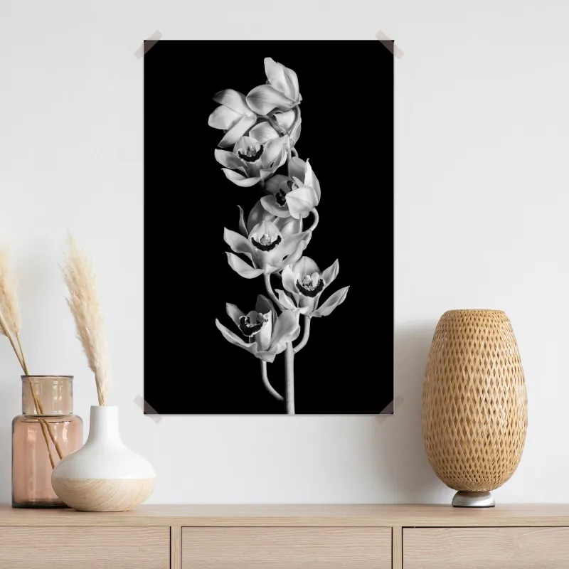 Plakat elegancka monochromatyczna gałąź orchidei – Wallissimo® Plakat elegancka monochromatyczna gałąź orchidei – Wallissimo®