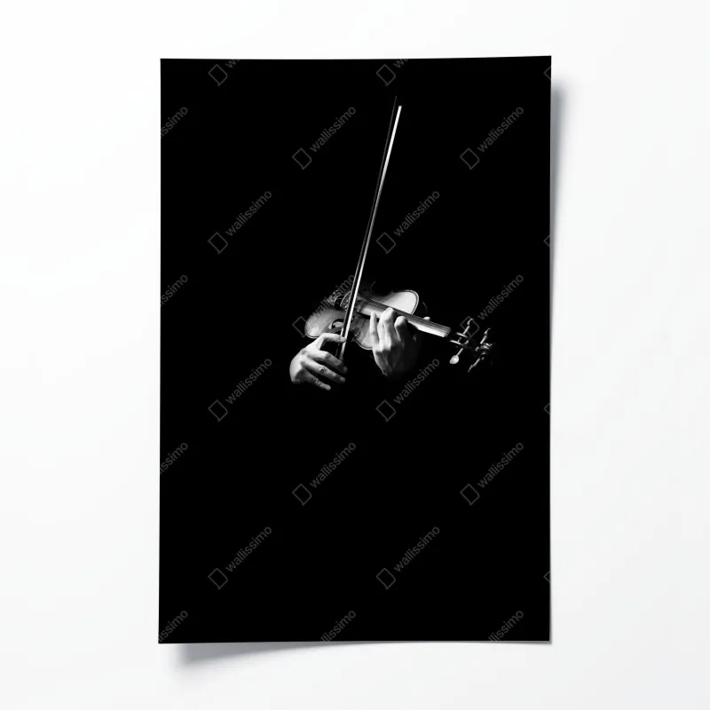 Plakat skrzypce w monochromie