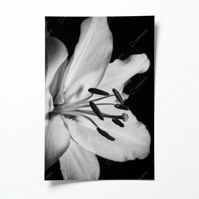 Plakat żywy memphis geometryczny wzór – Wallissimo®