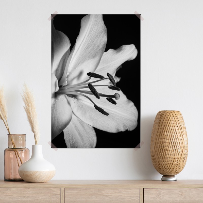 Plakat monochromatyczna lilia zbliżenie – Wallissimo® Plakat monochromatyczna lilia zbliżenie – Wallissimo®