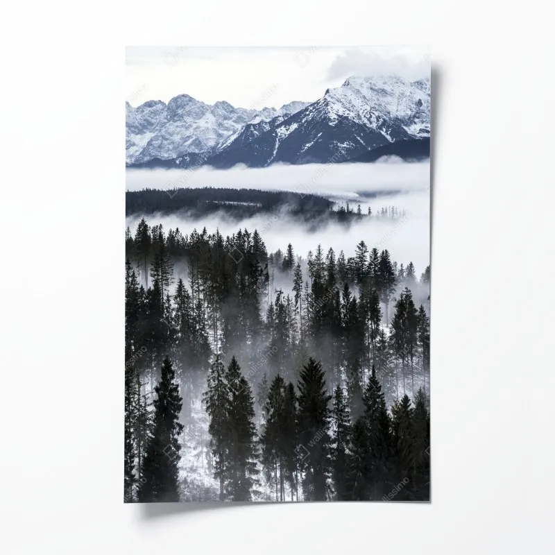 Plakat zielony liść paproci na białym tle – Wallissimo®