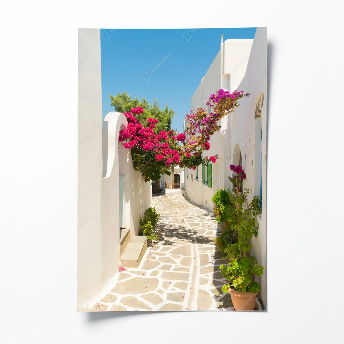 Plakat słoneczna śródziemnomorska uliczka z bugenwillą – Wallissimo® Plakat słoneczna śródziemnomorska uliczka z bugenwillą – Wallissimo®