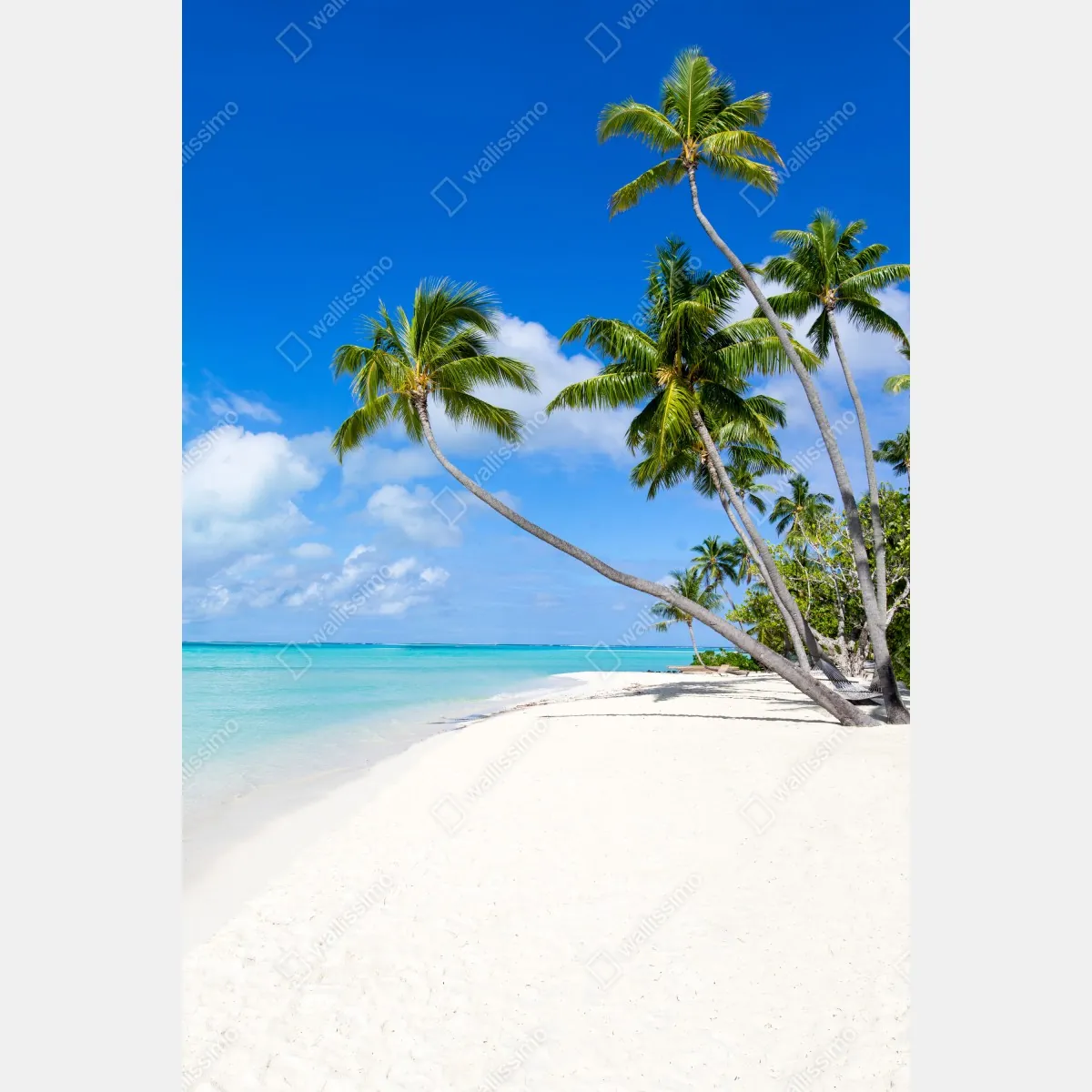 Plakat tropikalna plaża z palmami – Wallissimo® Plakat tropikalna plaża z palmami – Wallissimo®