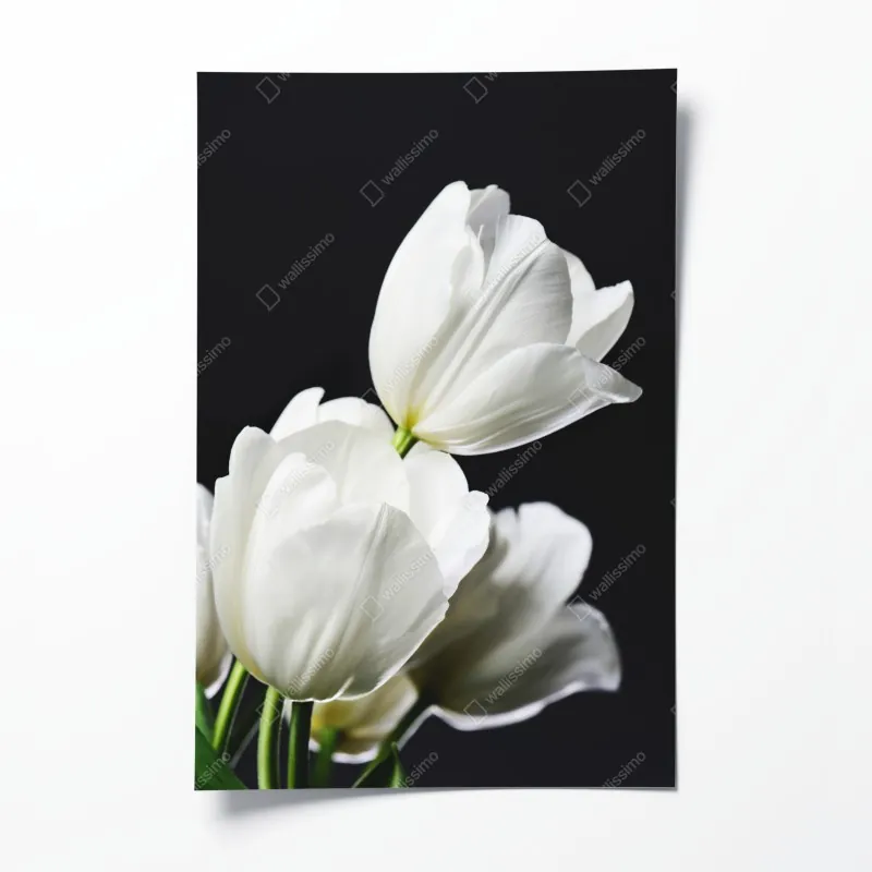 Plakat elegancki akwarelowy wzór kwiatowy na ciemnym tle – Wallissimo®