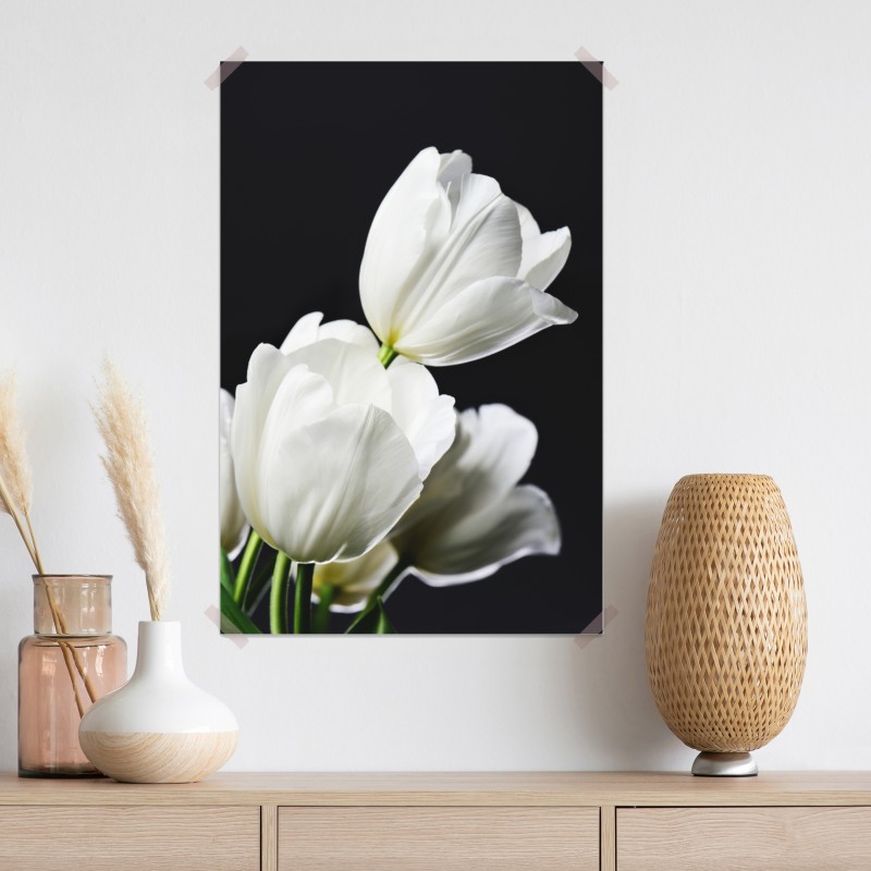 Plakat biały bukiet tulipanów na ciemnym tle – Wallissimo® Plakat biały bukiet tulipanów na ciemnym tle – Wallissimo®