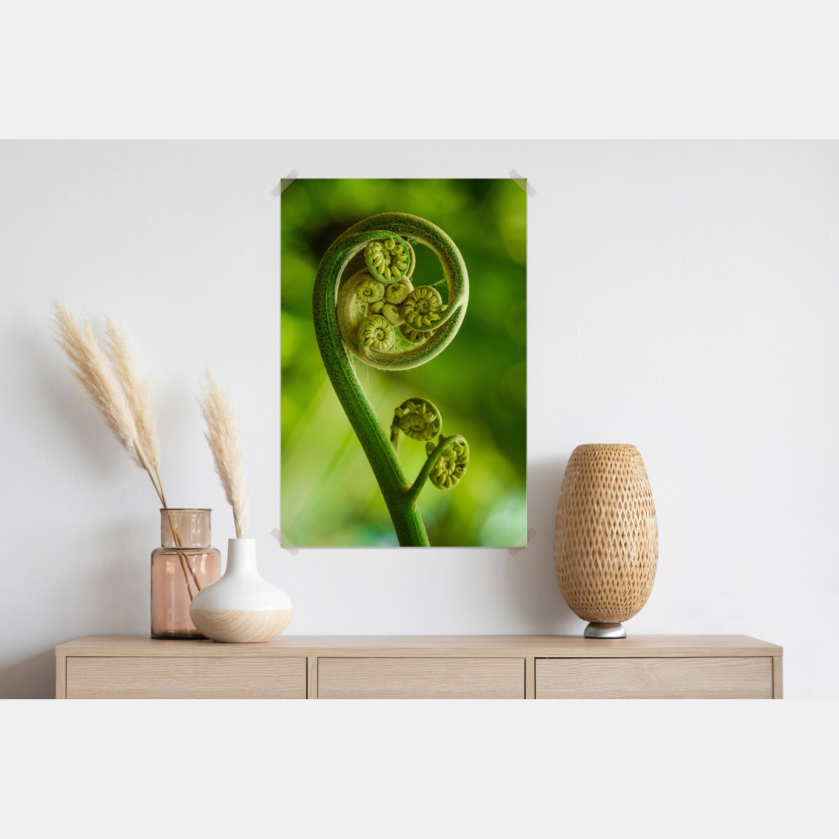 Plakat zielony pąk paproci makro – Wallissimo® Plakat zielony pąk paproci makro – Wallissimo®