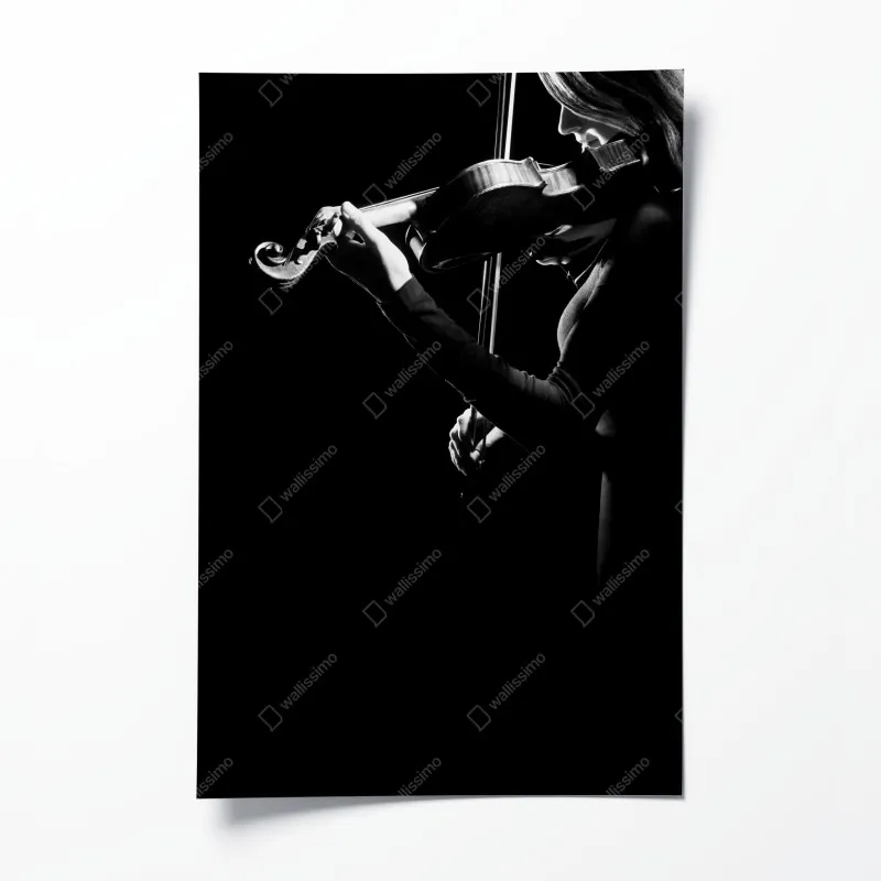 Plakat elegancka skrzypaczka w sylwecie