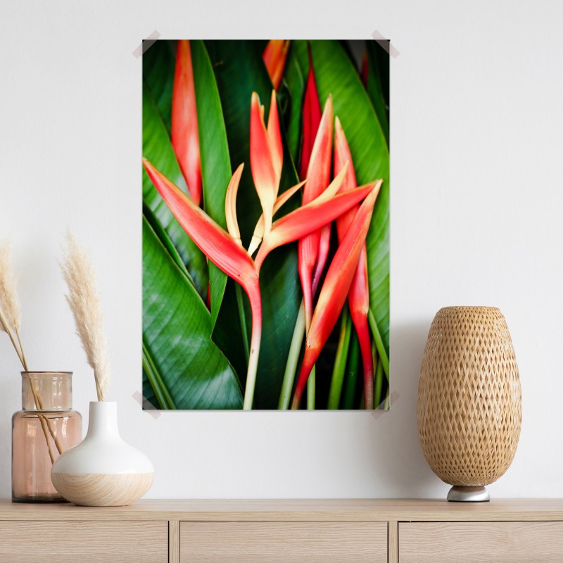 Plakat żywe tropikalne kwiaty heliconia – Wallissimo® Plakat żywe tropikalne kwiaty heliconia – Wallissimo®