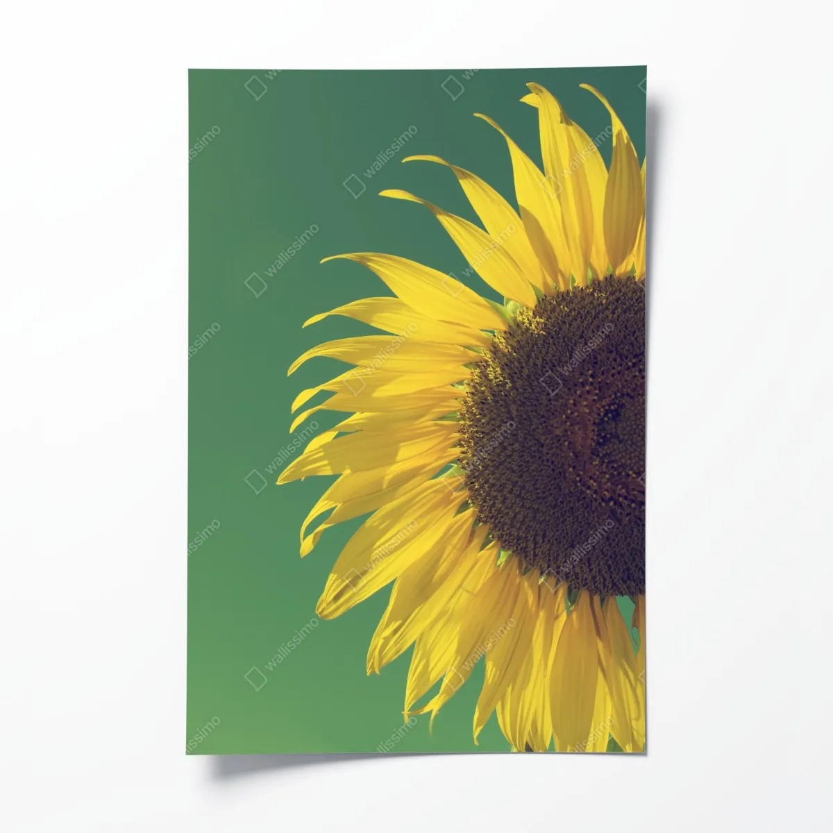 Plakat promienny słonecznik na retro niebie – Wallissimo® Plakat promienny słonecznik na retro niebie – Wallissimo®