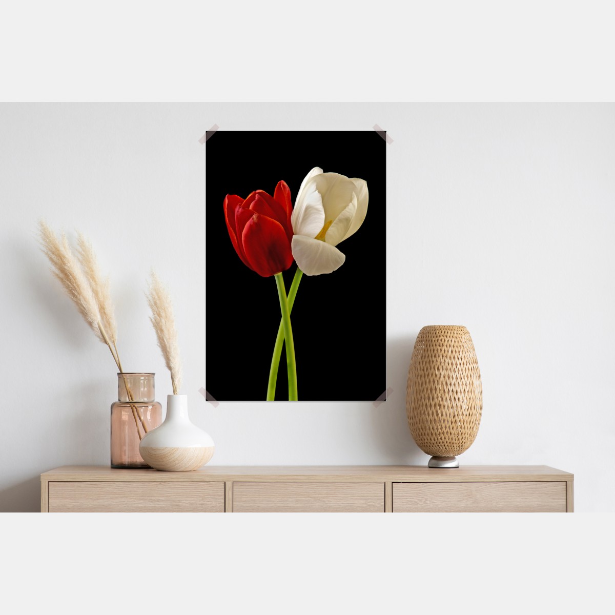 Plakat czerwono-białe tulipany na czarnym tle – Wallissimo® Plakat czerwono-białe tulipany na czarnym tle – Wallissimo®