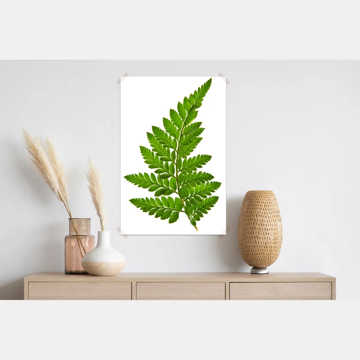 Plakat zielony liść paproci na białym tle – Wallissimo® Plakat zielony liść paproci na białym tle – Wallissimo®