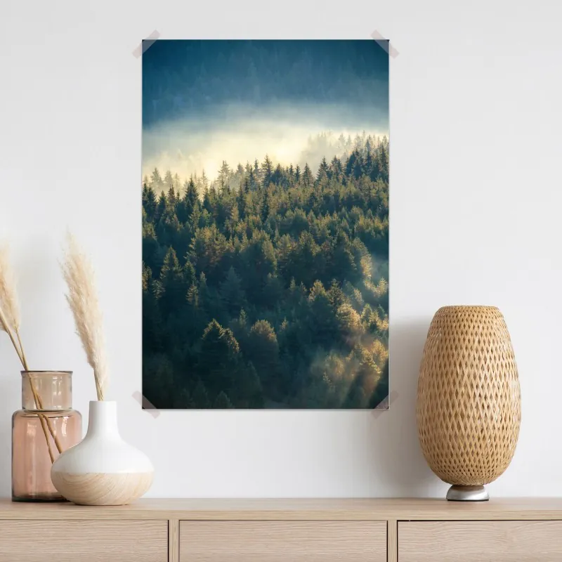 Plakat mglisty las sosnowy o świcie – Wallissimo® Plakat mglisty las sosnowy o świcie – Wallissimo®