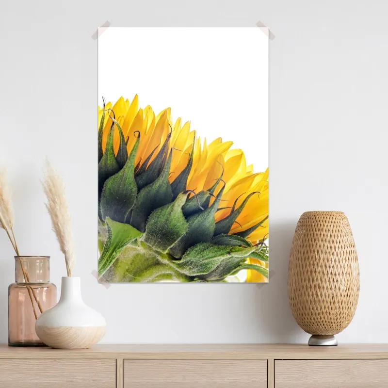 Plakat słonecznik w rogu na białym tle – Wallissimo® Plakat słonecznik w rogu na białym tle – Wallissimo®