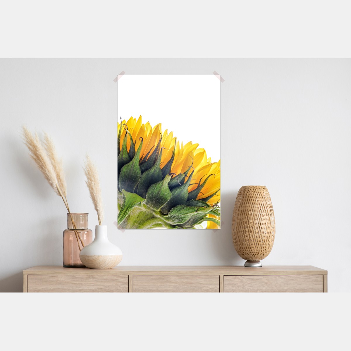 Plakat słonecznik w rogu na białym tle – Wallissimo® Plakat słonecznik w rogu na białym tle – Wallissimo®