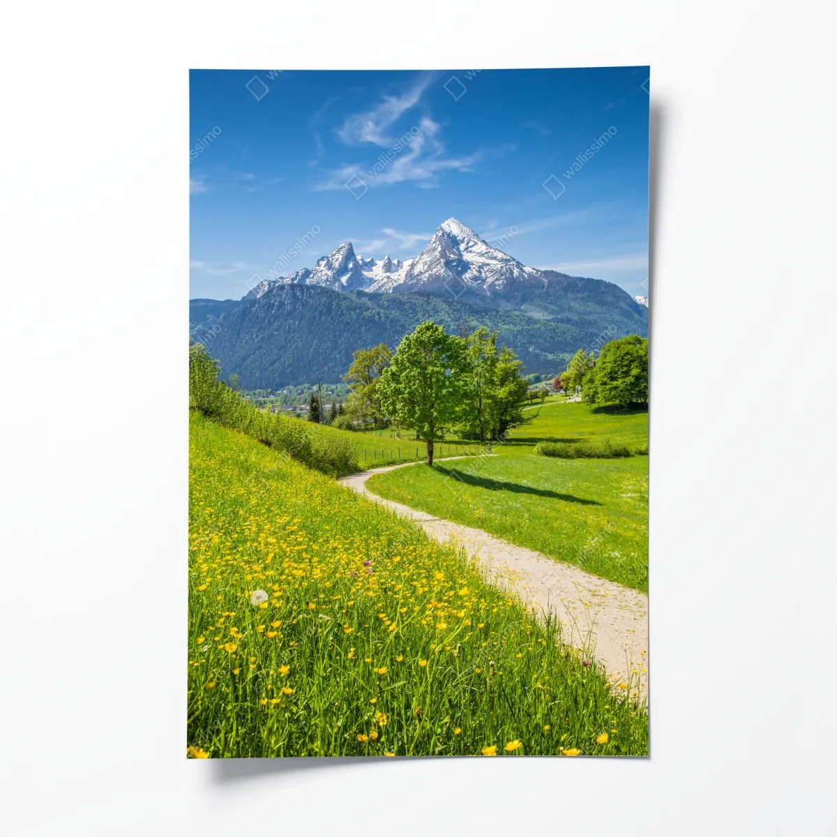 Plakat alpejska łąka i górska ścieżka – Wallissimo® Plakat alpejska łąka i górska ścieżka – Wallissimo®