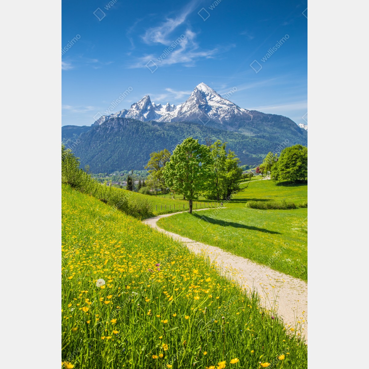 Plakat alpejska łąka i górska ścieżka – Wallissimo® Plakat alpejska łąka i górska ścieżka – Wallissimo®