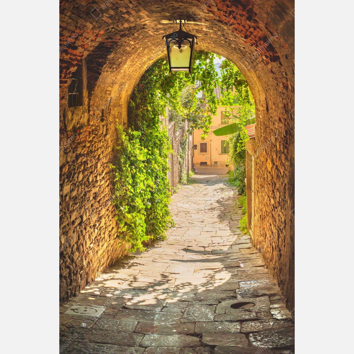 Plakat słoneczna uliczka w Toskanii – Wallissimo® Plakat słoneczna uliczka w Toskanii – Wallissimo®