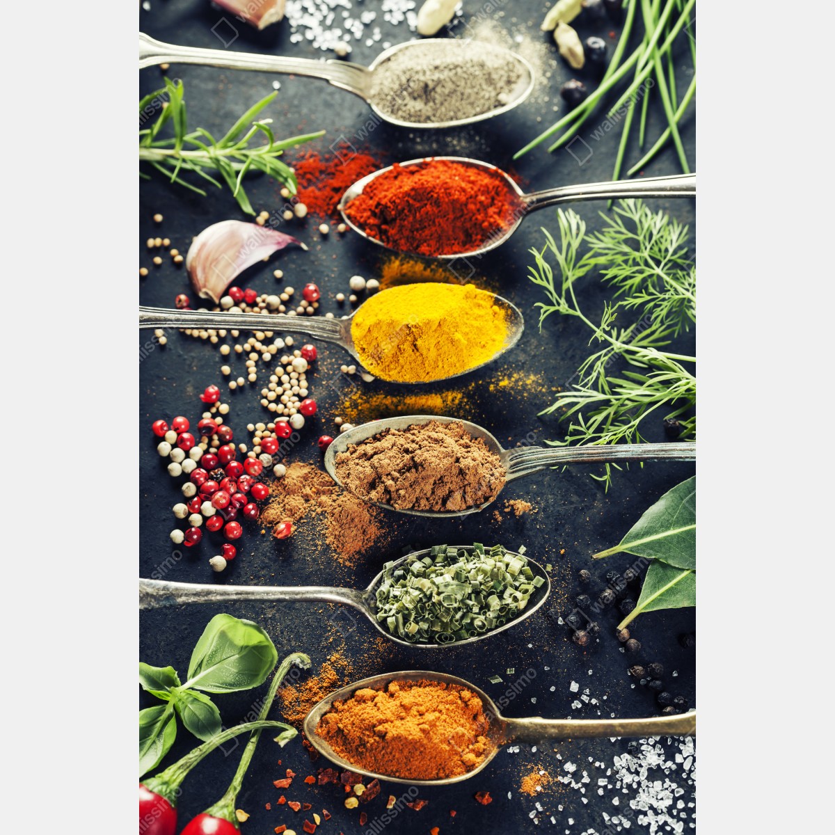 Plakat kompozycja przypraw i ziół – Wallissimo® Plakat kompozycja przypraw i ziół – Wallissimo®