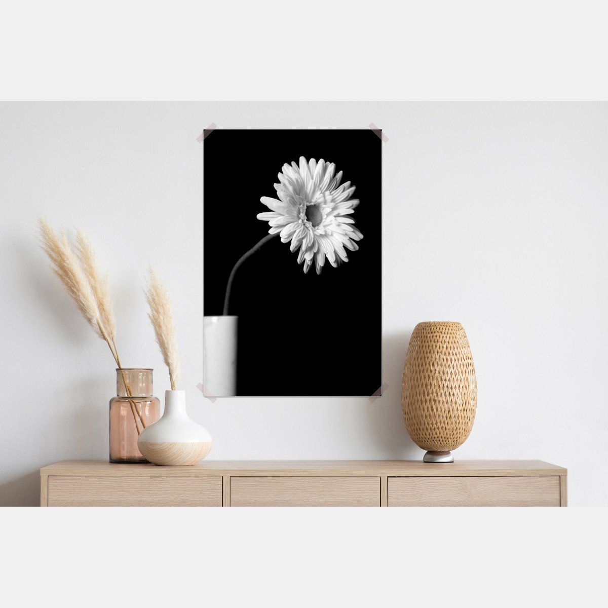 Plakat biała gerbera na czarnym tle – Wallissimo® Plakat biała gerbera na czarnym tle – Wallissimo®
