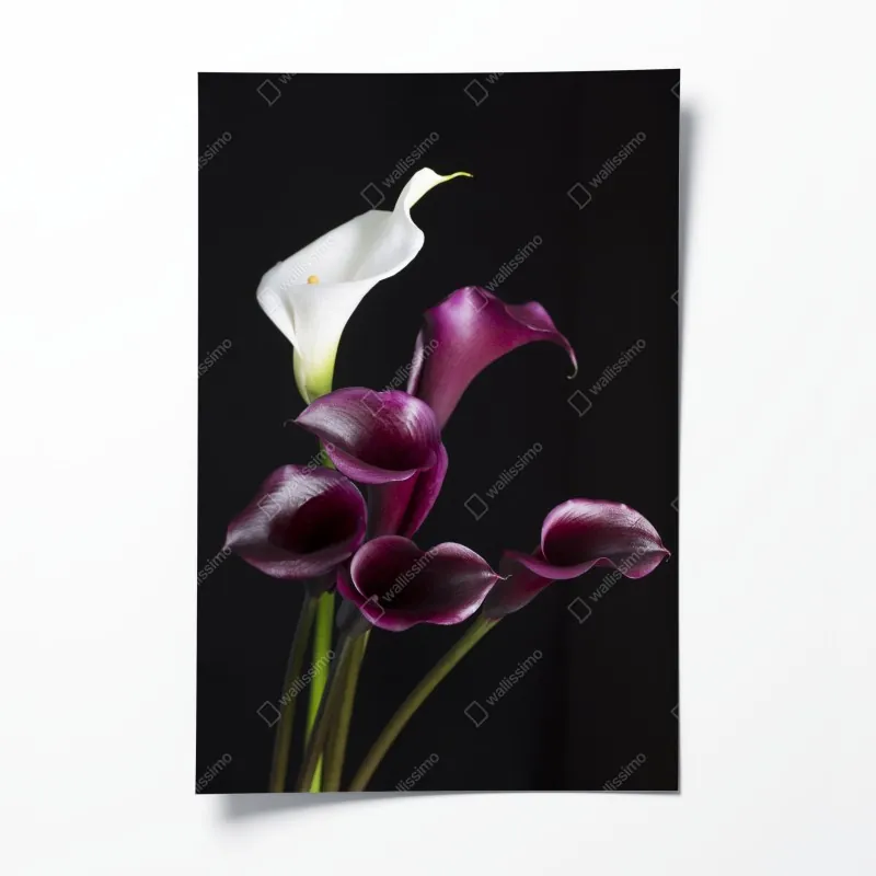 Plakat widok z lotu ptaka na nadmorskie miasteczko z falami – Wallissimo®