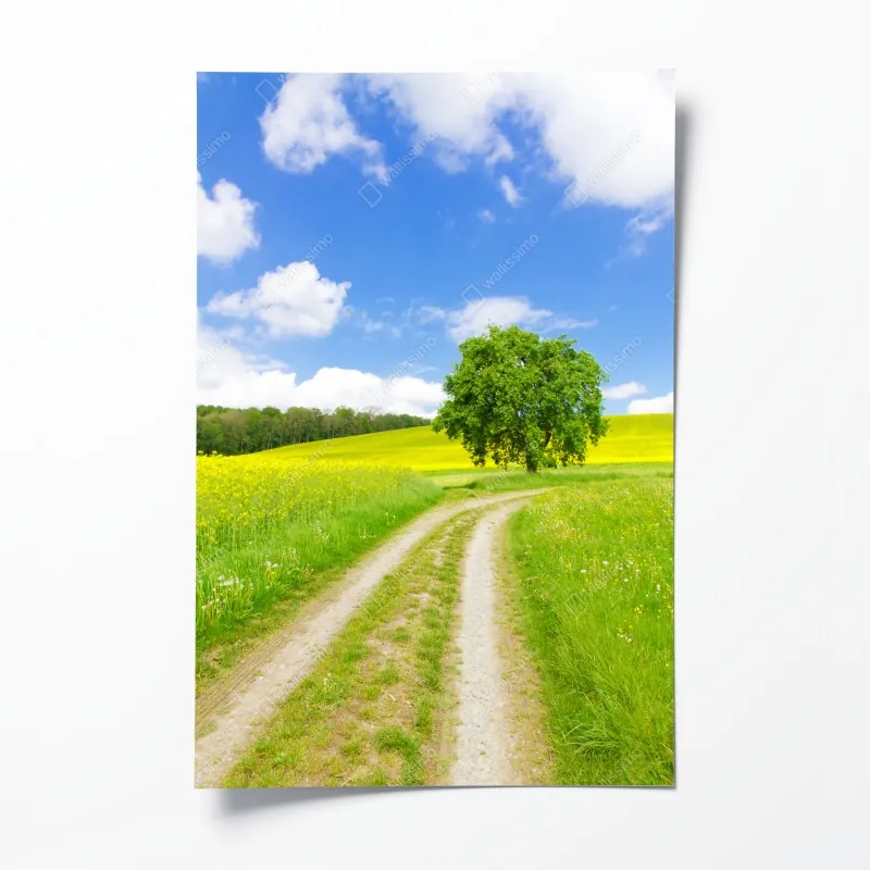 Plakat zimowe jezioro z odbiciem w śnieżnym lesie – Wallissimo®