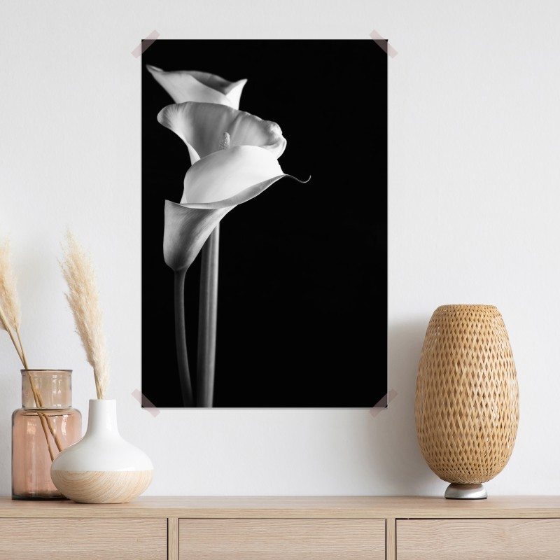 Plakat eleganckie kalie w monochromie – Wallissimo® Plakat eleganckie kalie w monochromie – Wallissimo®