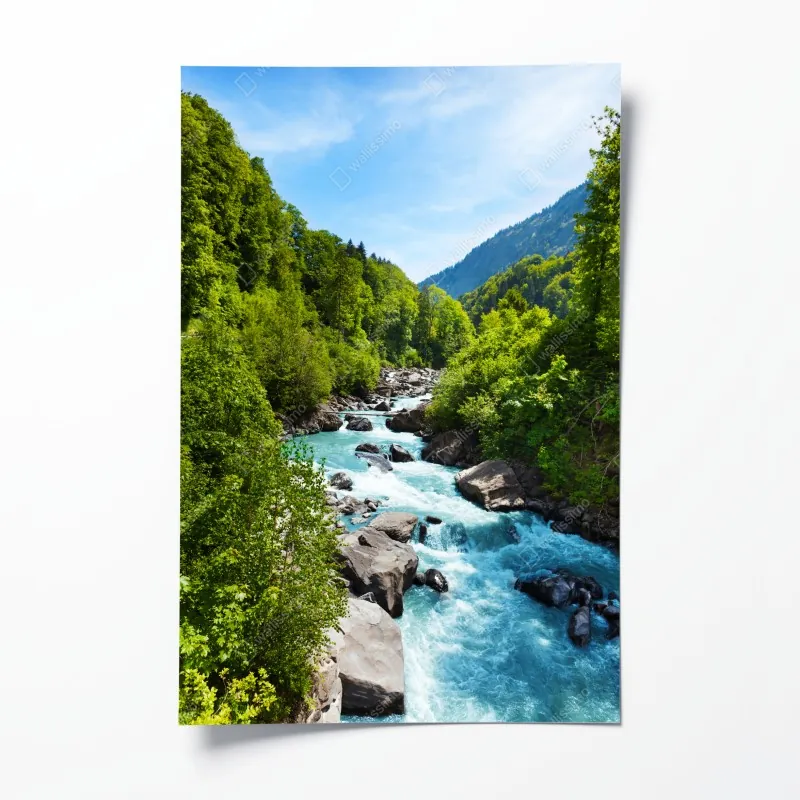 Plakat intensywny czerwony tulipan zbliżenie – Wallissimo®