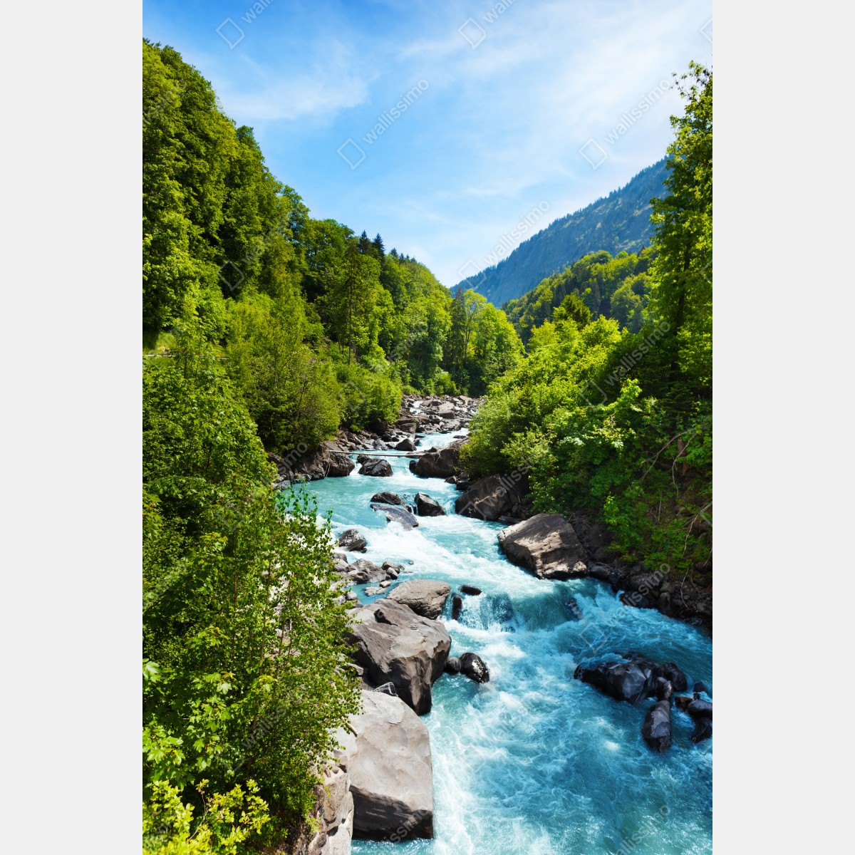 Plakat górska rzeka w bujnej zieleni – Wallissimo® Plakat górska rzeka w bujnej zieleni – Wallissimo®