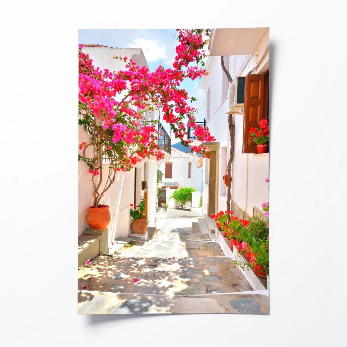 Plakat słoneczny zaułek śródziemnomorski z bugenwillą – Wallissimo® Plakat słoneczny zaułek śródziemnomorski z bugenwillą – Wallissimo®