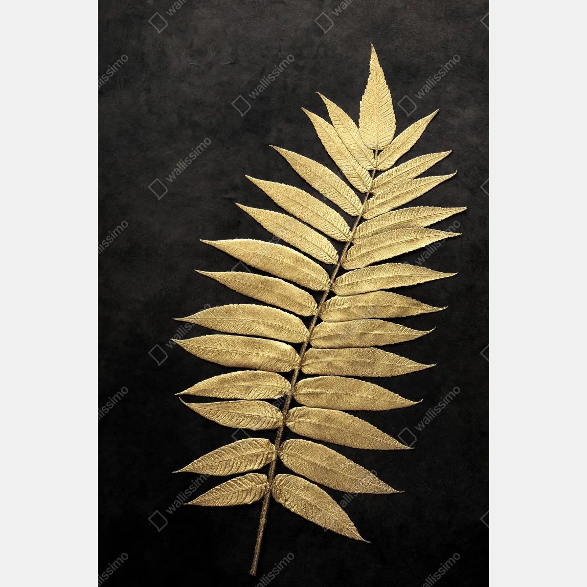 Plakat złota paproć na ciemnym tle – Wallissimo® Plakat złota paproć na ciemnym tle – Wallissimo®