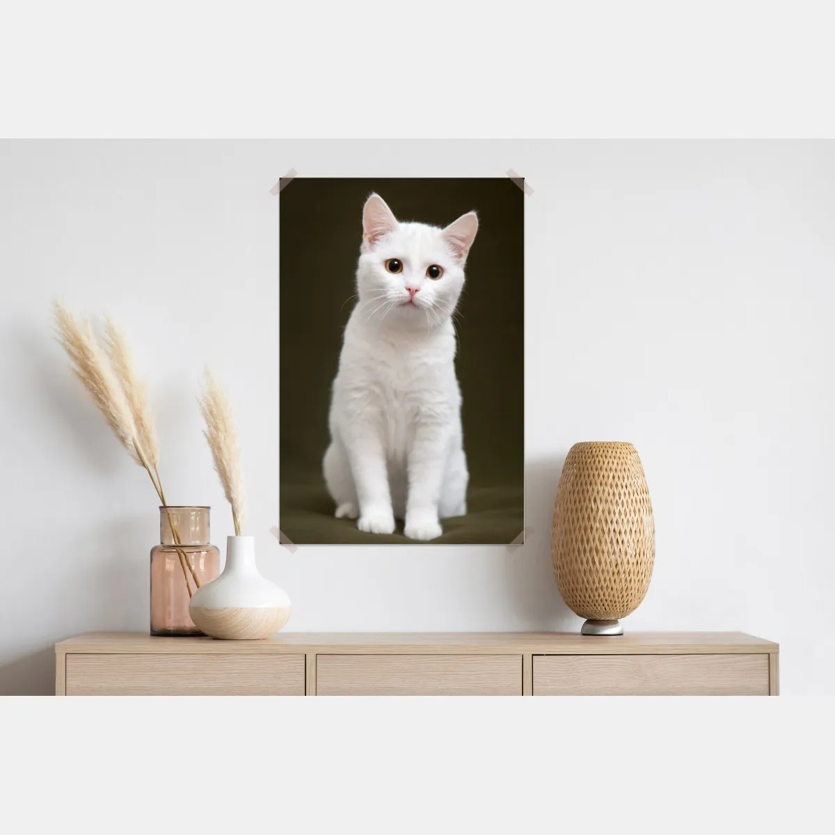 Plakat uroczy portret białego kota – Wallissimo® Plakat uroczy portret białego kota – Wallissimo®