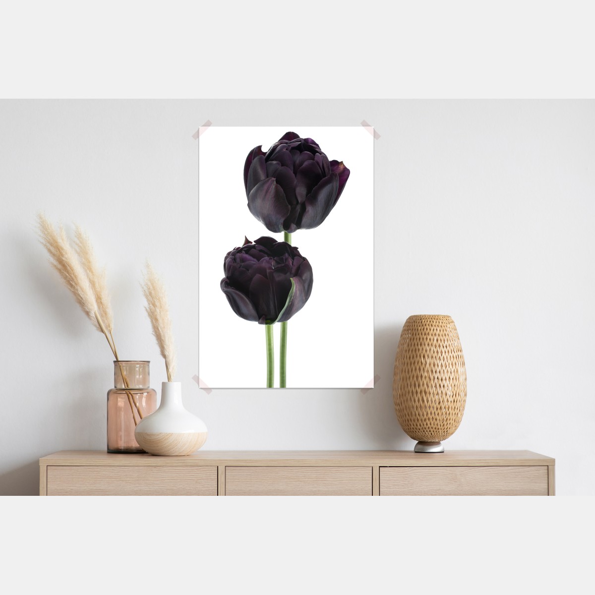 Plakat ciemne fioletowe tulipany na białym tle – Wallissimo® Plakat ciemne fioletowe tulipany na białym tle – Wallissimo®