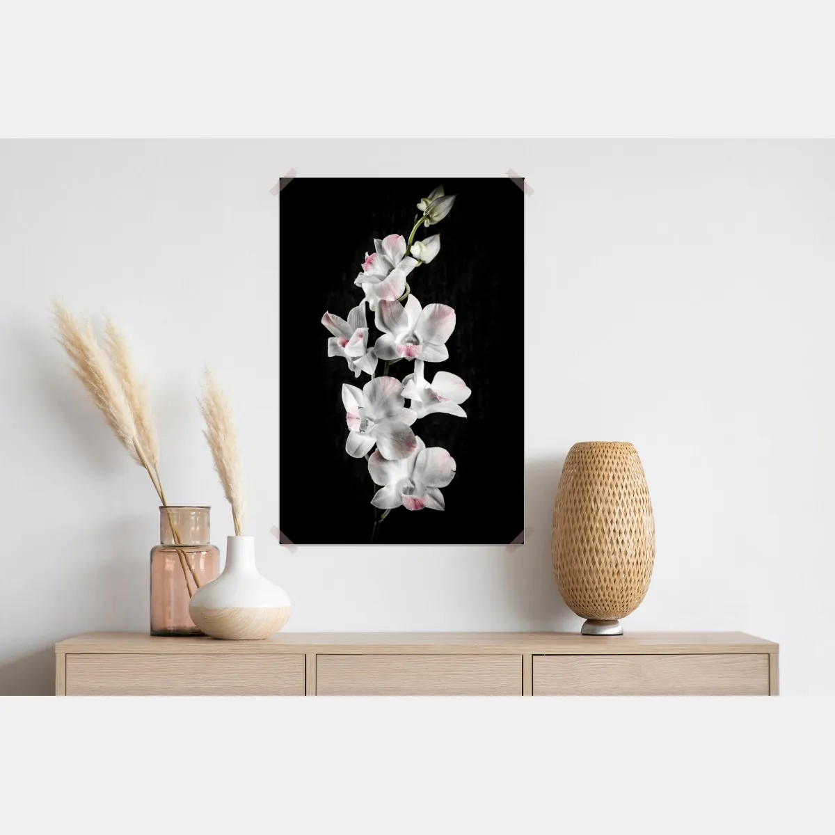 Plakat biały i różowy storczyk na czarnym tle – Wallissimo® Plakat biały i różowy storczyk na czarnym tle – Wallissimo®