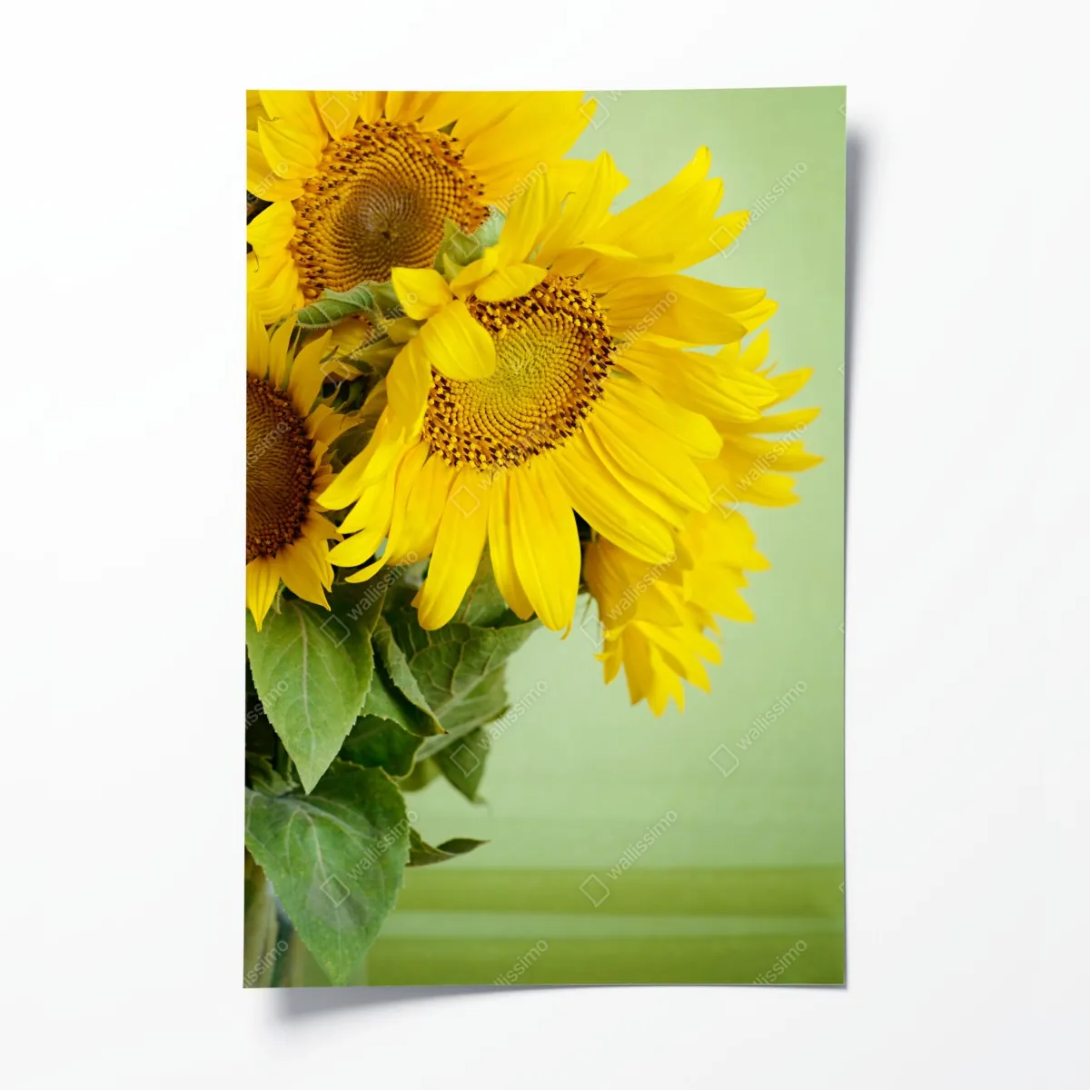 Plakat jasny bukiet słoneczników na zielonym tle – Wallissimo® Plakat jasny bukiet słoneczników na zielonym tle – Wallissimo®