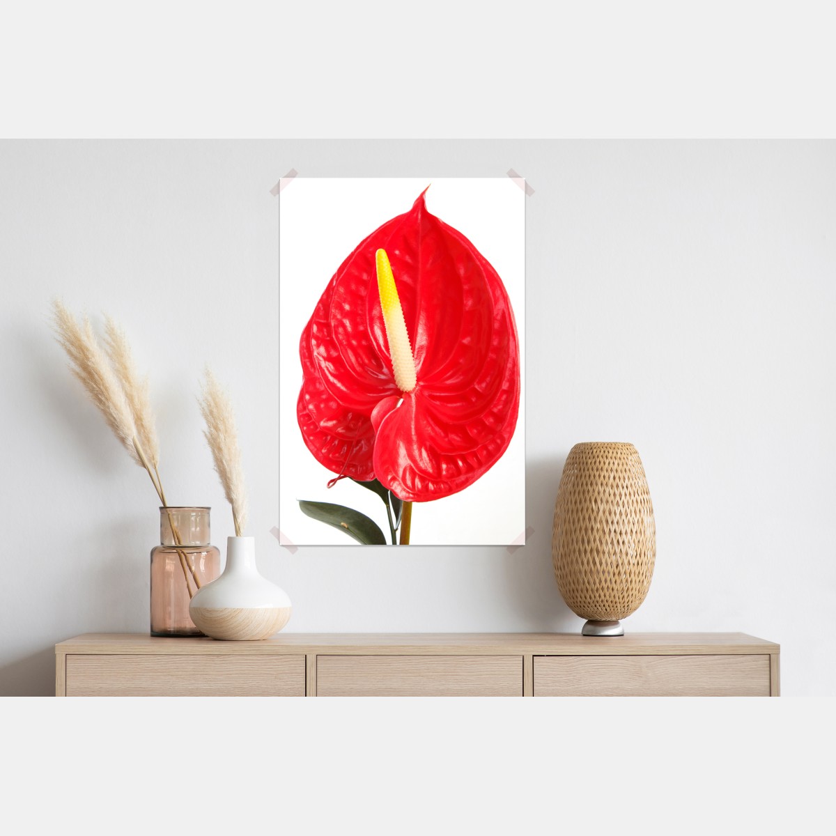 Plakat intensywne czerwone anturium – Wallissimo® Plakat intensywne czerwone anturium – Wallissimo®