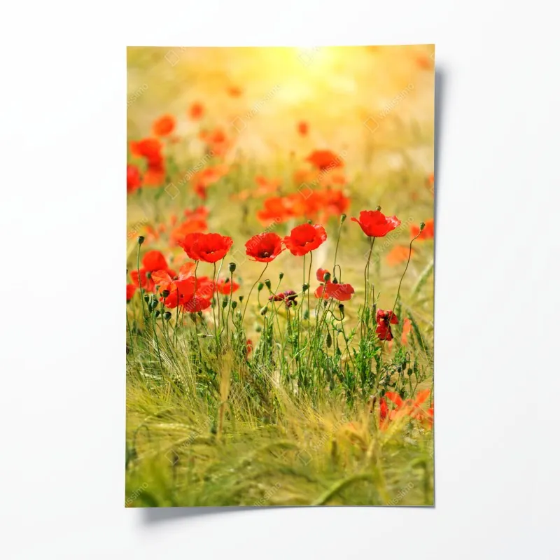 Plakat żywa łąka obraz olejny zbliżenie – Wallissimo®