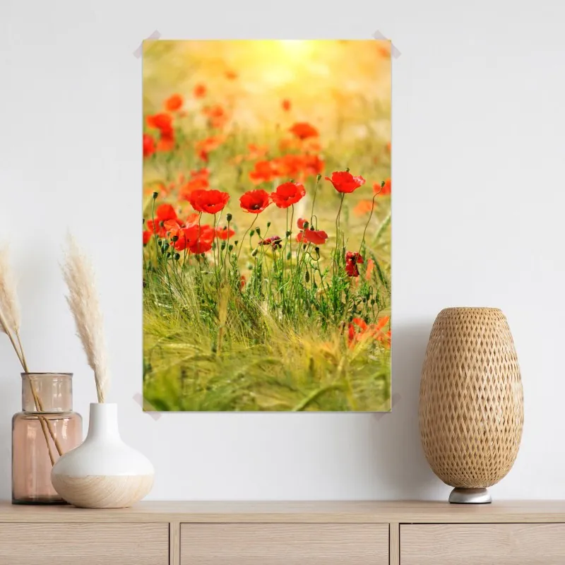 Plakat łąka czerwonych maków w słońcu – Wallissimo® Plakat łąka czerwonych maków w słońcu – Wallissimo®